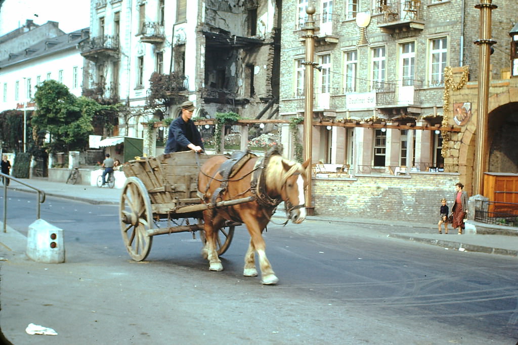 Grape Wagon, Ruedesheim, Germany, 1994.