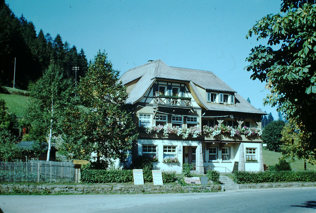 Schonmunzach, Germany, 1994.