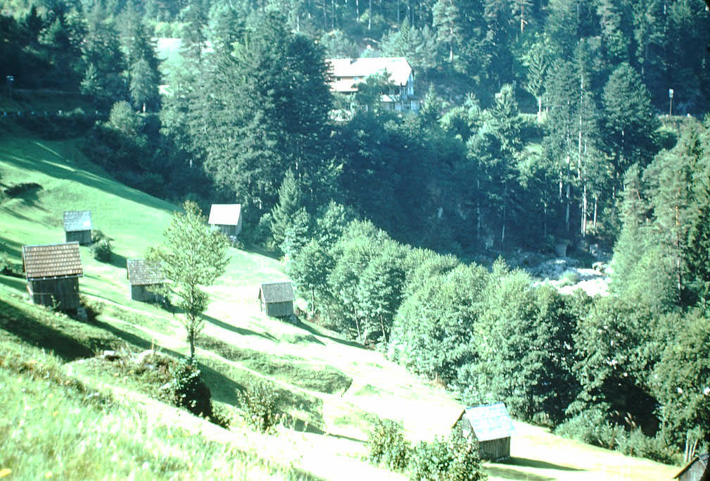 Between Wildbad and Baden Baden, 1949.