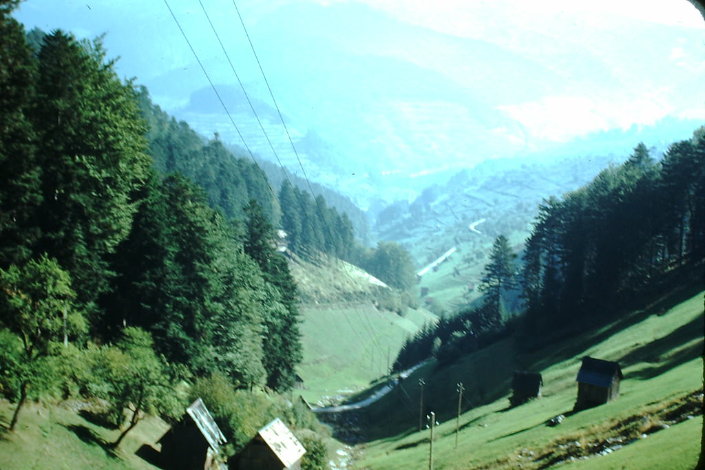 Valley Below Rote Lache, Germany, 1949.