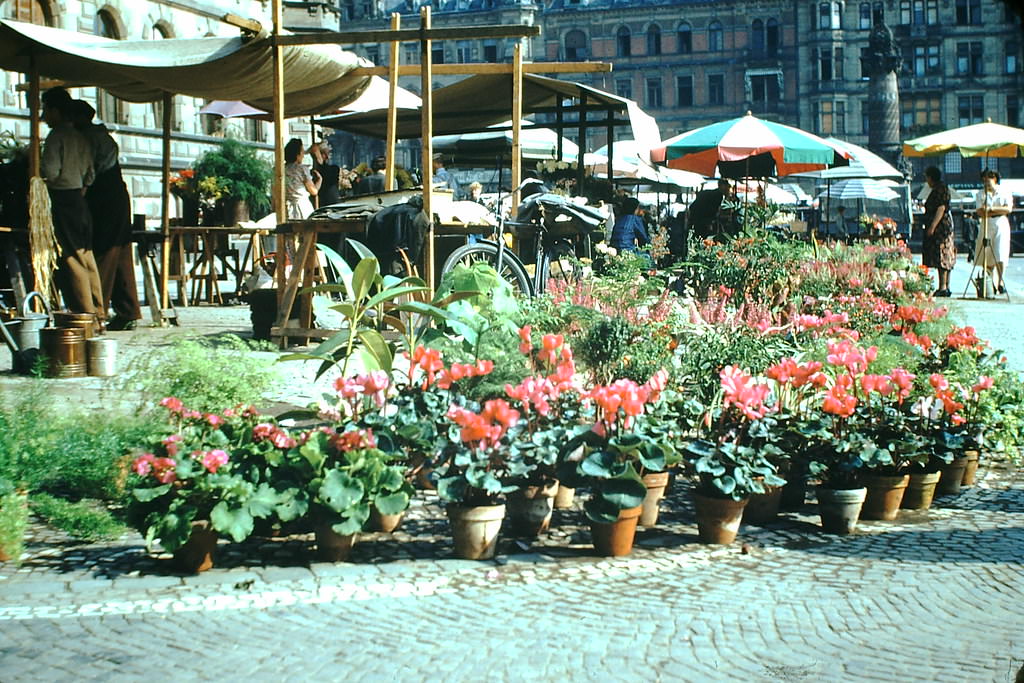 Flower Market in Wiesbaden, Germany, 1949.