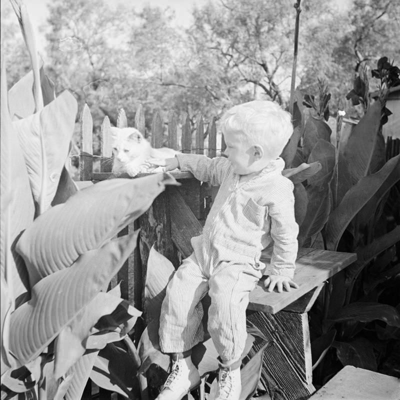 Boy sitting on wooden steps, petting a cat outside