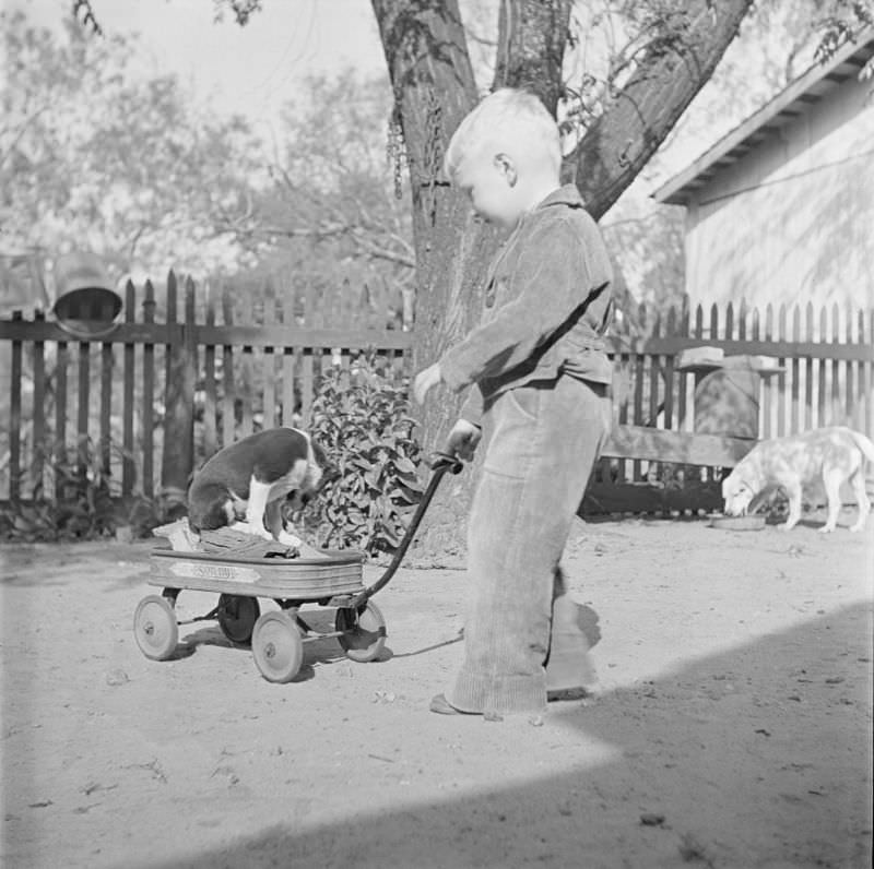 Boy standing outside, holding the handle to a wagon with a dog inside