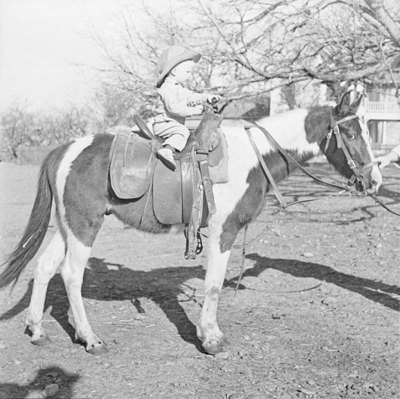 Little boy sitting in top of a horse with an unidentified individual holding the horse's bridle