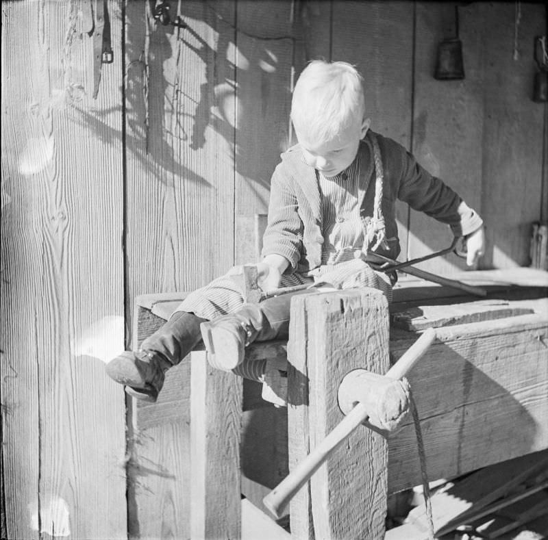 Little boy sitting on tool workbench