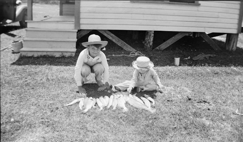 Two boys kneeling behind a line of fish in the grass