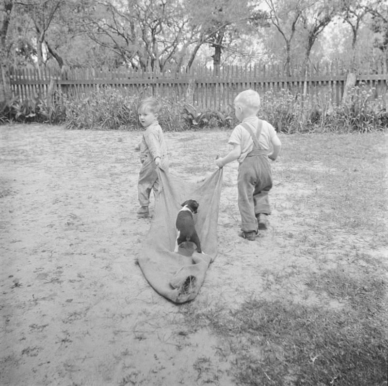 Two boys pulling a blanket with a dog on top of it