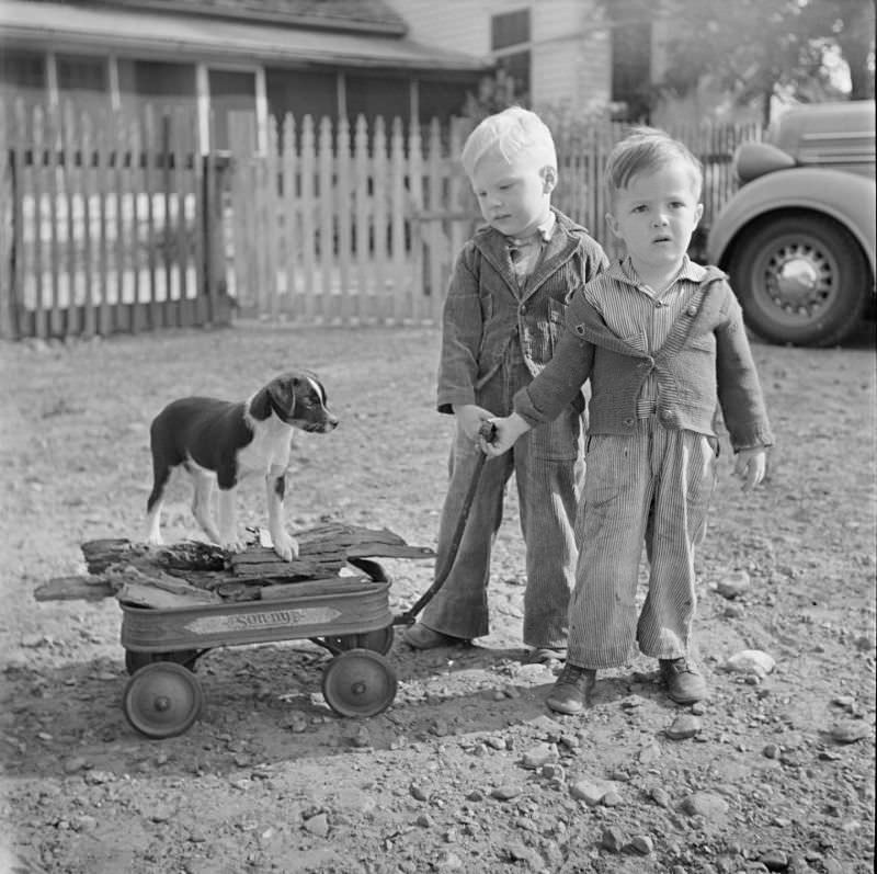 Two little boys standing next to a wagon full of wood, with a dog on top of it