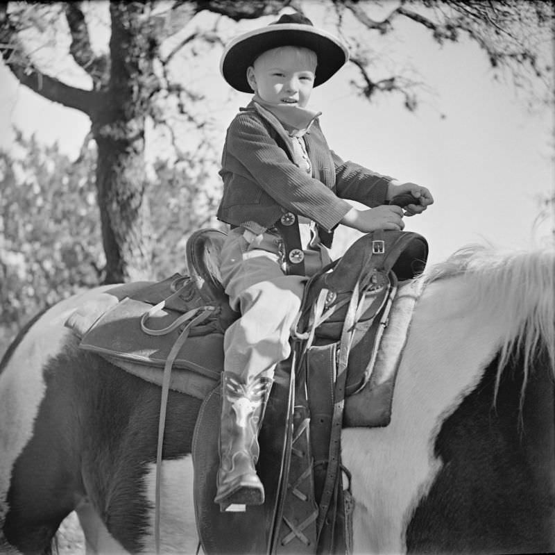 Boy sitting in a saddle, on top of a horse