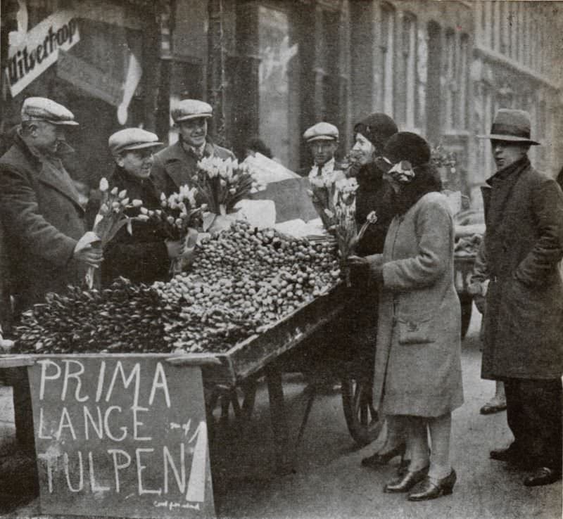 Amsterdam tulip sale, spring 1931