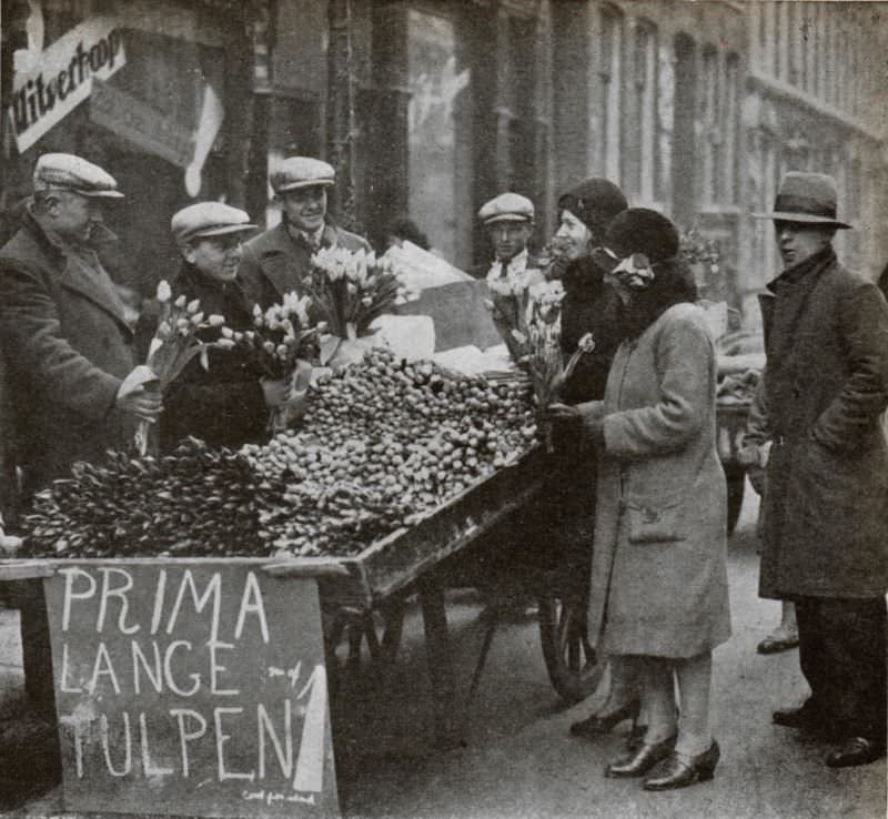Amsterdam tulip sale, spring 1931