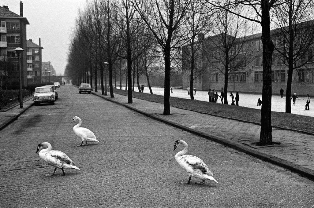 Winter in Holland, Amsterdam, 1962