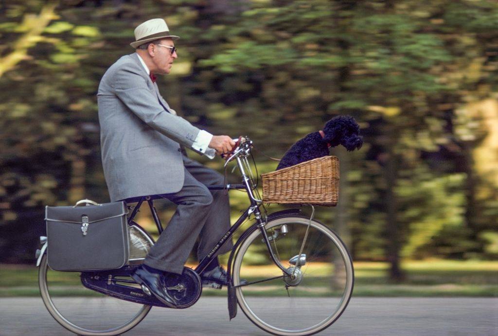An elderly cyclist taking his poodle for a ride in Vondel Park, Amsterdam, 1975.