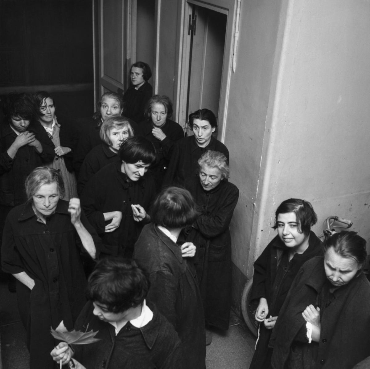 French Psychiatric Hospitals 1950s: Historical Photos that Depict the Life of Patients and Doctors