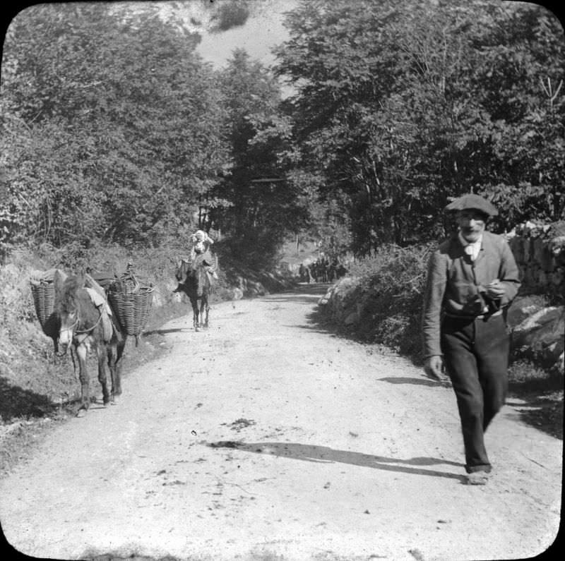 Lys valley path, Luchon, 1892