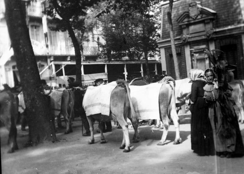 Entrance to the competition, Luchon, September 1895