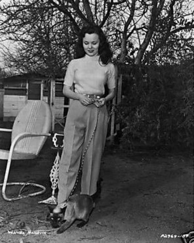 Actress Wanda Hendrix Visiting Mildred Alexander’s Motel for Cats in San Francisco, 1947