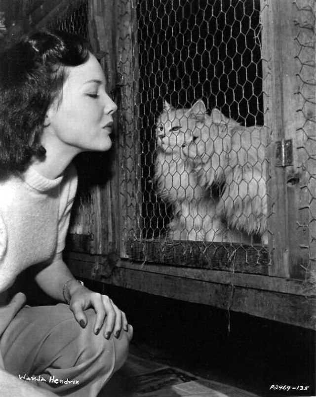 Actress Wanda Hendrix Visiting Mildred Alexander’s Motel for Cats in San Francisco, 1947