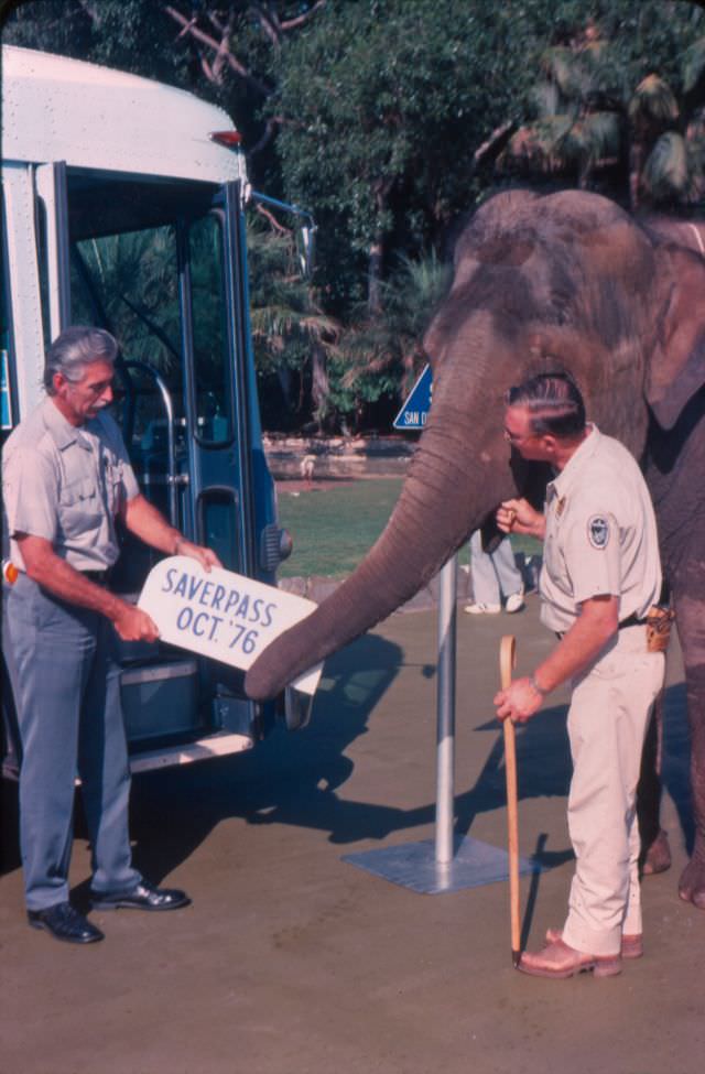 Carol the elephant from the San Diego Zoo introduces the Super Saver pass in 1976