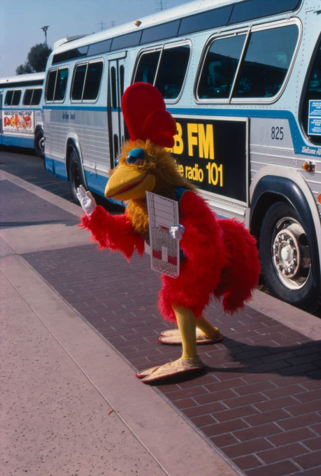 San Diego Chicken getting a ride at Fashion Valley Transit Center in December 1977