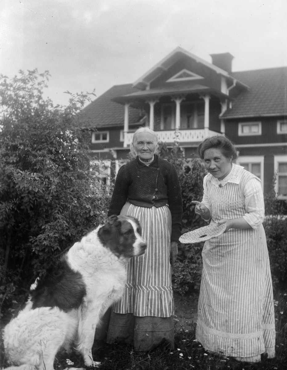 Teres Karlinder holds a bread cake in front of the dog, Drävle, Altuna parish, Uppland 1908