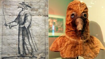 17th Century Plague Doctor Mask