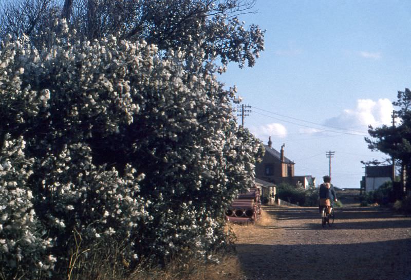 Likely Kessingland, Walberswick, or somewhere around there, Suffolk