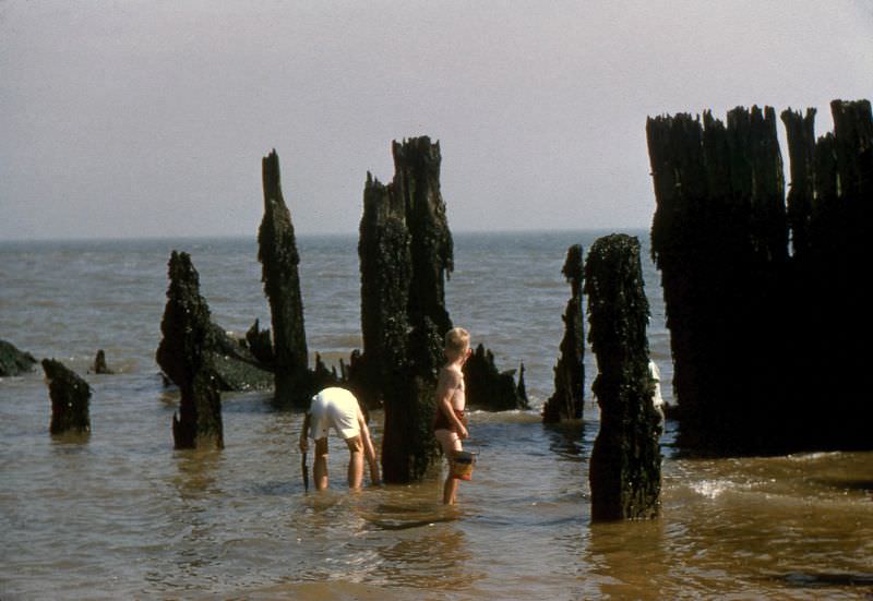 Boys, Suffolk coast