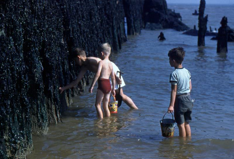 Boys, Suffolk coast