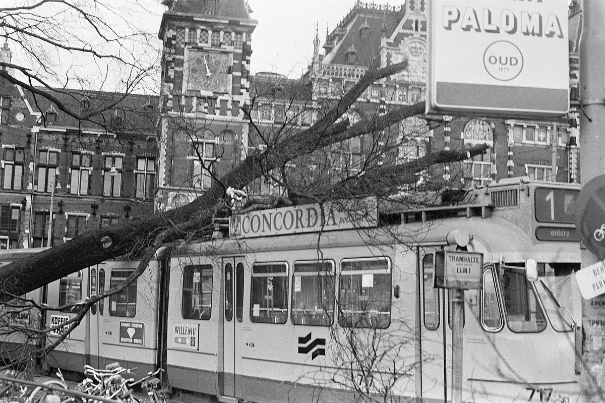 Tree fell on tram at Amsterdam Central Station due to heavy storm. November 13, 1972