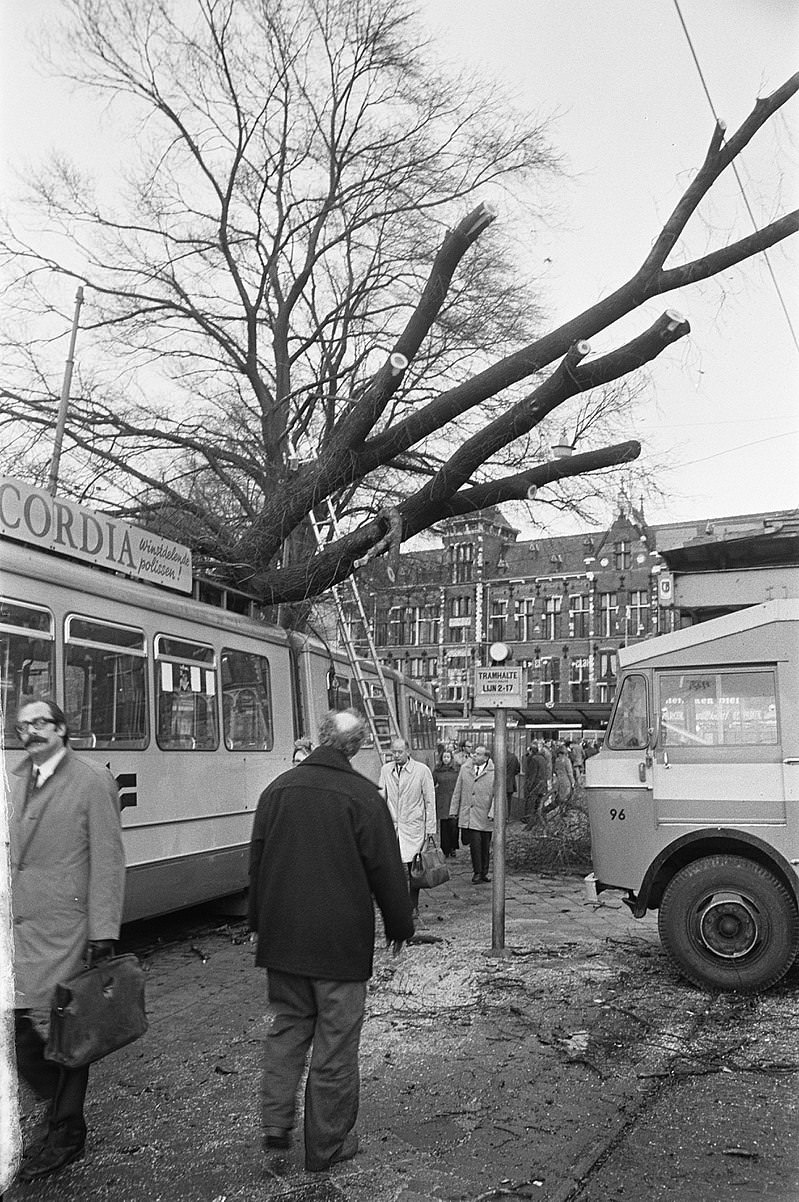 Tree fell on tram at Amsterdam Central Station due to heavy storm.