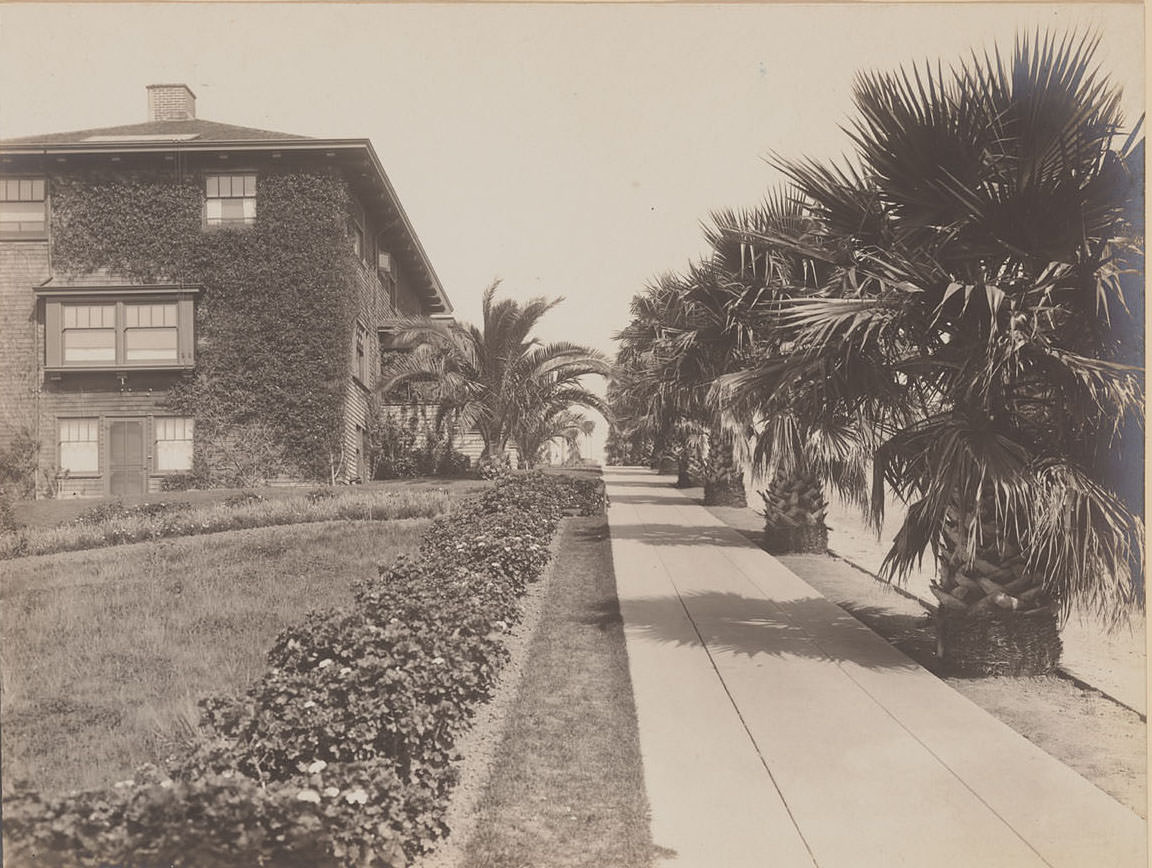 Scenic Avenue, view along sidewalk, Berkeley, California, 1910s