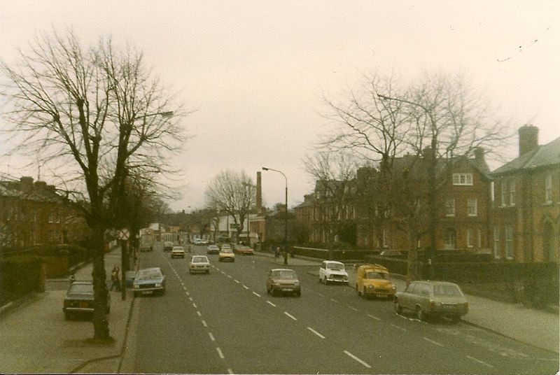 Donnybrook, 1982