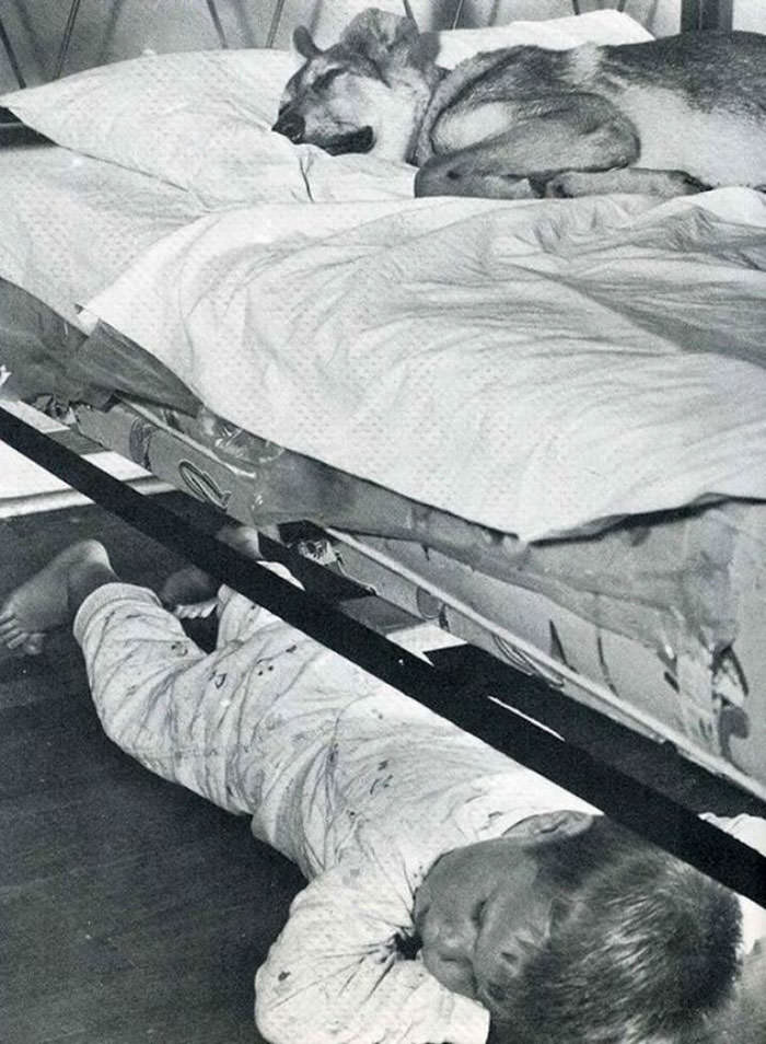 Boy sharing bed with his best friend