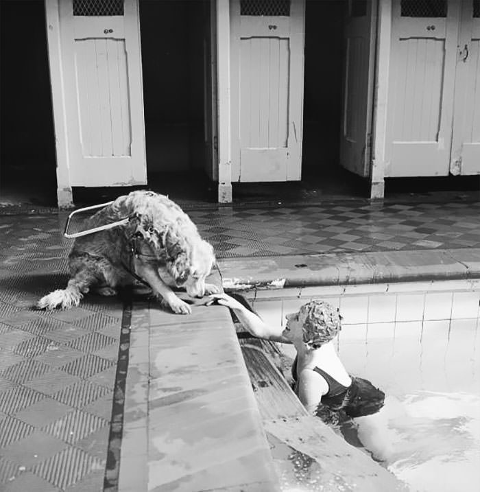 A blind woman relaxes at the local swimming pool, watched over by her guide dog, 1966