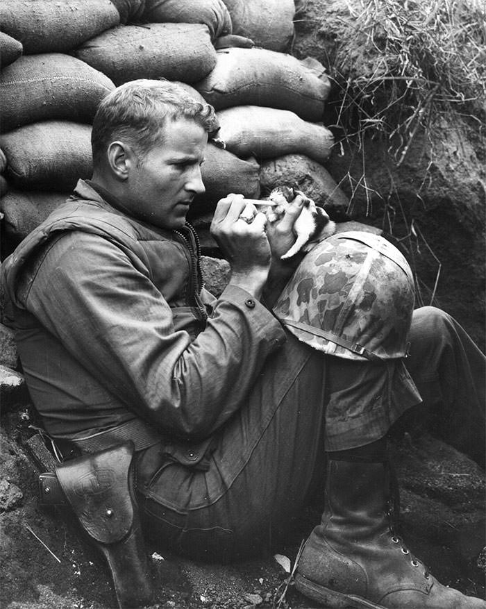 Marine sergeant frank praytor feeding an orphaned kitten. he adopted the kitten after the mother cat died during the war.