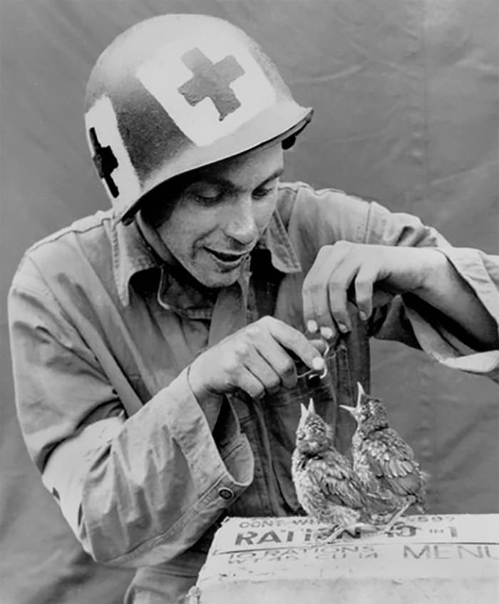 Medic feeding baby birds