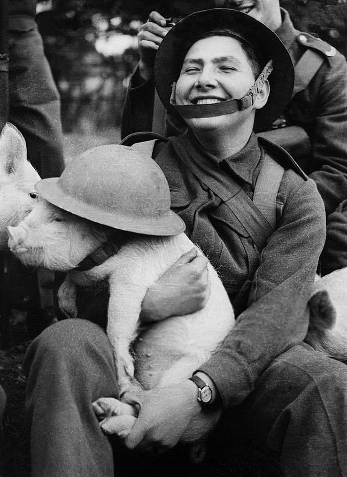 Young soldier holding a little piggy with lid in london during wwii