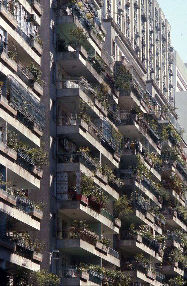 Hong Kong apartment gardens