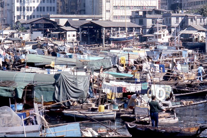 Hong Kong harbor