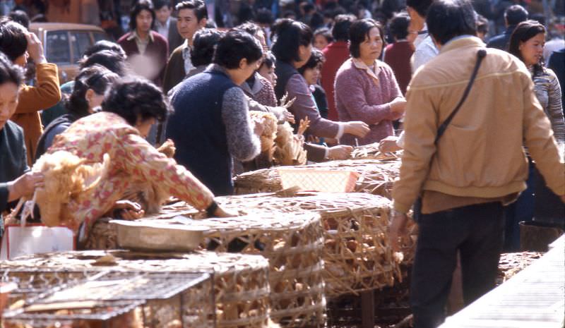 Hong Kong outdoor chicken market