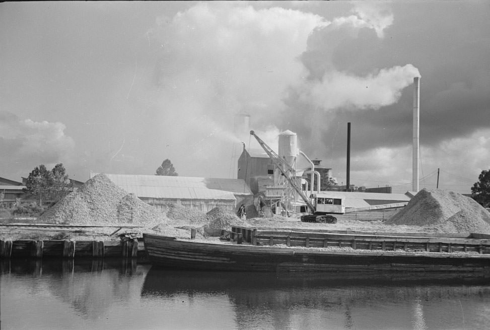Along the banks of the Port of Houston are several crushing plants for oyster shell, 1930s