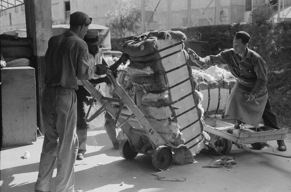 Loading bale of cotton onto hand truck at platform. Cotton compress, Houston, Texas