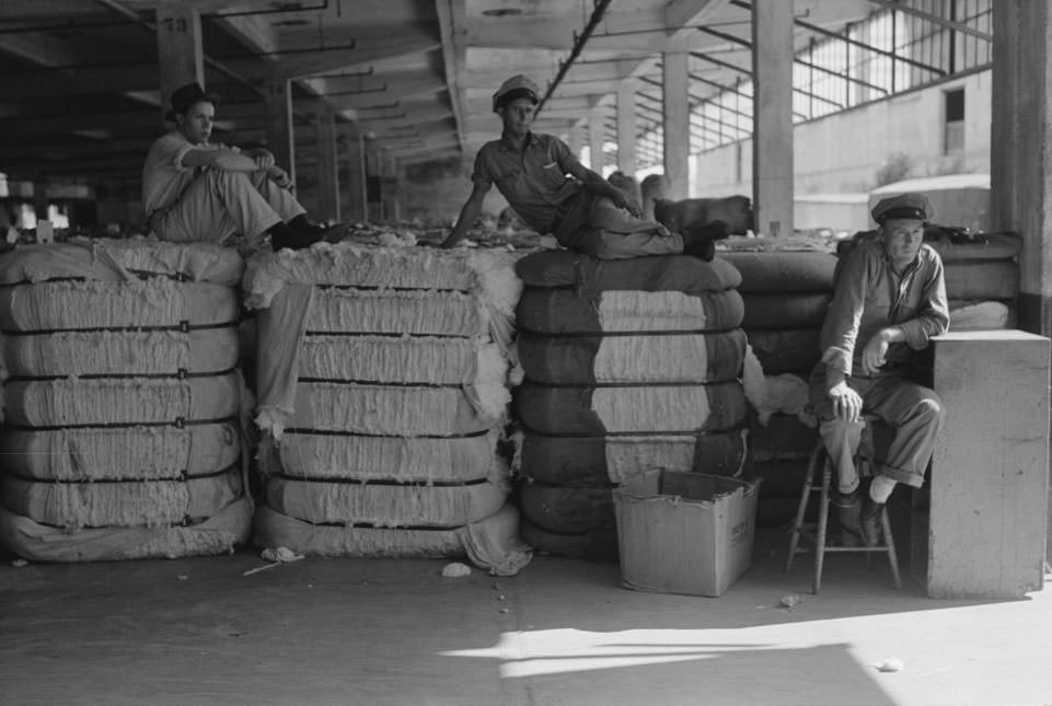 Loading bale of cotton onto hand truck at platform. Cotton compress, 1930s