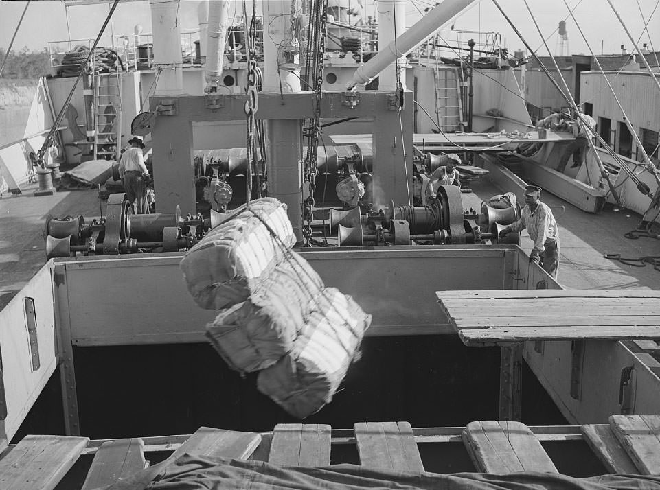 Loading cotton into hold of ship. Port of Houston, Texas