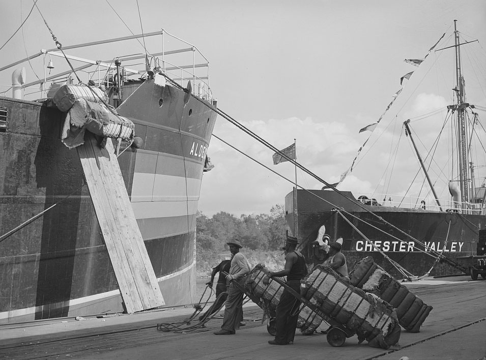 Stevedores loading cotton on to the freighter. Port of Houston, Texas