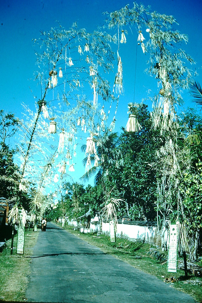 Roadway Decorations- Galonga Day, Indonesia, 1952