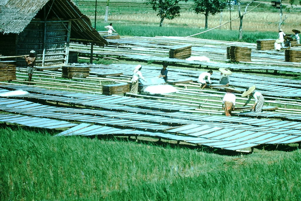 Wheat Meal in Jakarta, Indonesia, 1952