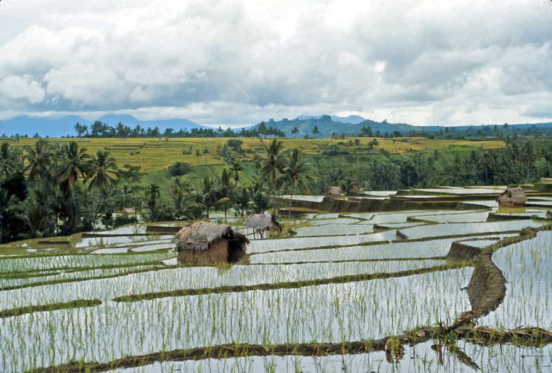 Near Klungkung, Bali, 1970s