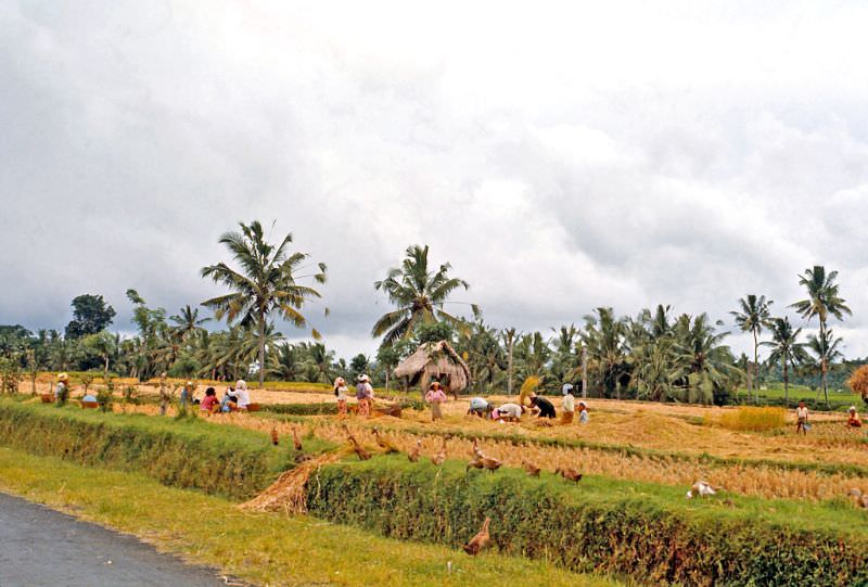 Near Klungkung, Bali, 1970s